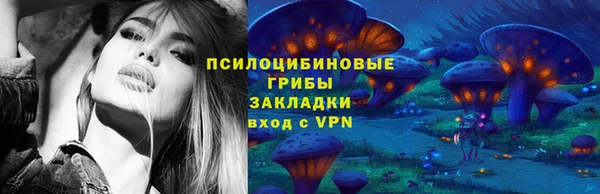 прущая мука Няндома